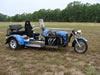 Totally Custom Trike Gallery: Image